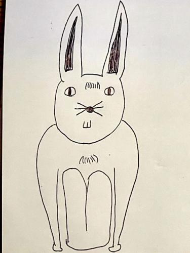 Rabbit / 